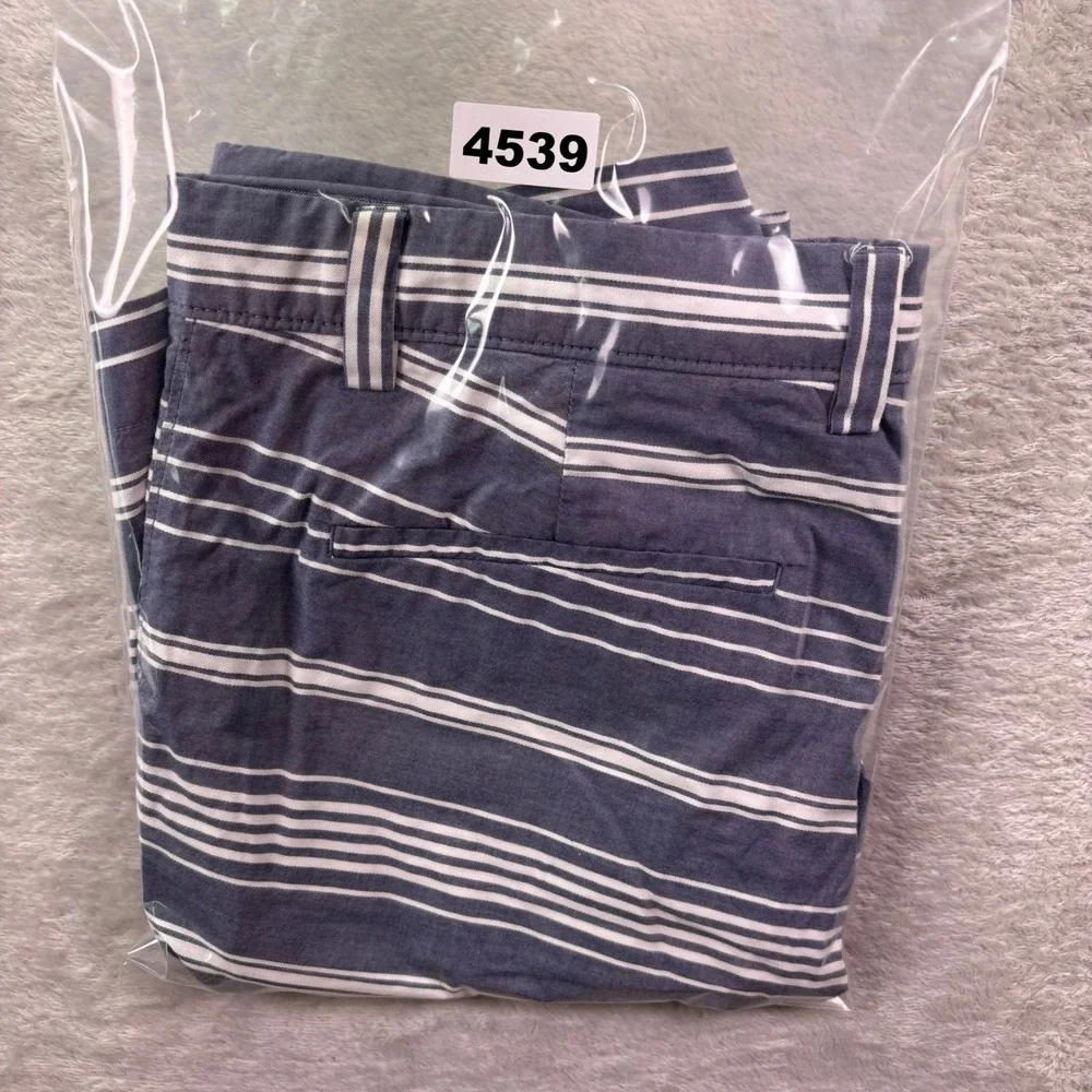 Banana Republic Mens Shorts 32 Blue White Striped Rio Horizontal Cotton Chino